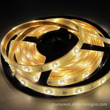 Blue Indoor High Intensity Flexible 3528 LED Strip Light for Christmas